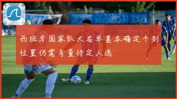 西班牙国家队大名单基本确定个别位置仍需考量待定人选