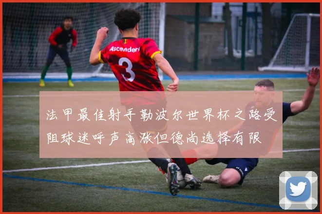 法甲最佳射手勒波尔世界杯之路受阻球迷呼声高涨但德尚选择有限